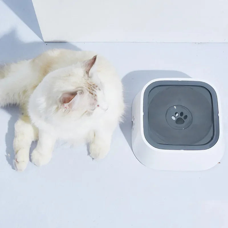Slow Feeder Dog Bowl - Slow Drinking Bowl