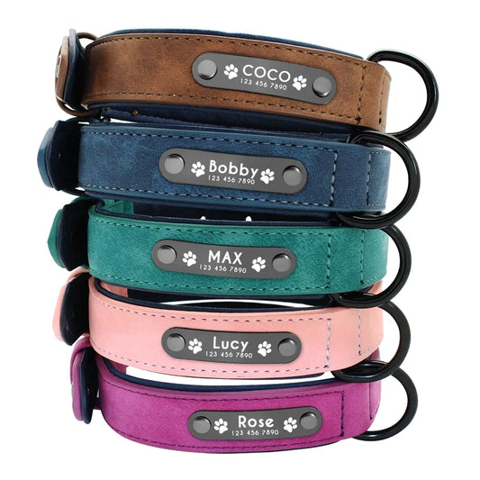 Personalized Dog Collar with Custom ID Tags - Delfords