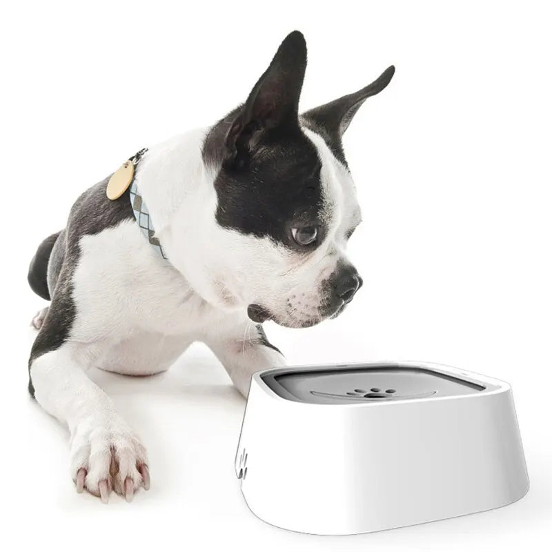 Slow Feeder Dog Bowl - Slow Drinking Bowl